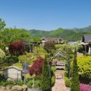 지베르니펜션 이미지