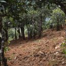 명차무역 이미지