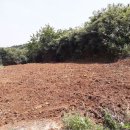 도화공인중개사사무소 이미지