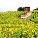 벽계관광지(내) 이미지