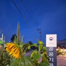 진례초등학교 네이버블로그