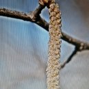 동림꽃농원 이미지