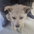 최종주동물병원 이미지