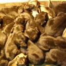 예산농장 이미지