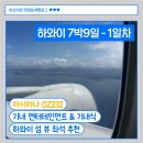 232 | [하와이 7박9일] 아시아나 OZ232 인천-호놀룰루 좌석 기내식 탑승 후기