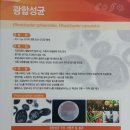 파주시농업기술센터 미생물배양실 북부지소 | 친환경 미생물