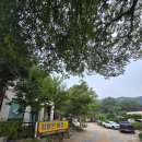 참맑은아침단체애견스파독채커플펜션 이미지