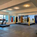 팀엑스복싱 이미지