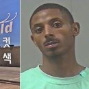 폭스미용실 서울신문