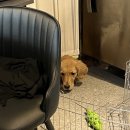 부림공업사 이미지