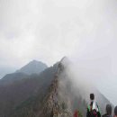 동부-전하-전하-08 이미지