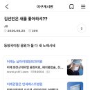 아 야게에 김선빈 검색하다가 봐ㅛㄴ는데 이미지