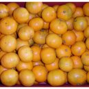 들풀농장 이미지