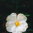 양산서울요양병원장례식장