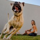 가마솥강릉설렁탕 이미지