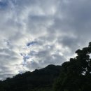 감나무골가든 이미지