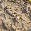 션샤인호텔 이미지