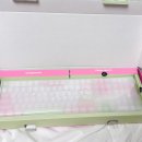 맘모스PC | [내돈내산] 책상 위에 피어난 봄🌸 앱코 A108K 피오니 맘모스축 (ft. 무선 풀배열 기계식 키보드 추천)