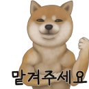 번창카메라 이미지
