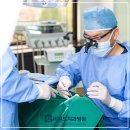 슈어치과교정과치과병원 이미지