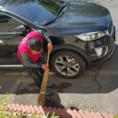 정화양로원 이미지