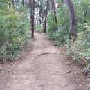 대평경로당 이미지