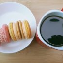 마카롱삼츈