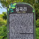 심곡리 마을회관 이미지