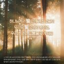 신성교통(주) - 파주시 문산읍 | 신성교통(주)