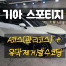 민타카디테일링 이미지