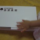 코코호도시지점 네이버블로그