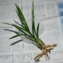 축동우체국 이미지