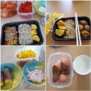 Sleek Line PT | [슬릭프로젝트 시즌2] 3기 챌린지 후기 - 다이어트 추천