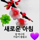 [해학이있는 아침.[💌]-팔자가 뭐냐고 물었더니- 이미지