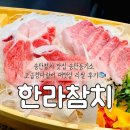 송탄참치 맛집 송탄등기소 한라참치 혼마구로 대뱃살 무한리필 후기