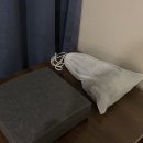 스테이션로지충주 네이버블로그