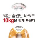 먹는 습관만 바꿔도 10kg은 쉽게 빠진다 [원앤원스타일 출판사] 이미지