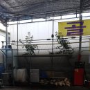 골드워시손세차 이미지