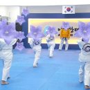 태권도 지화자 이미지
