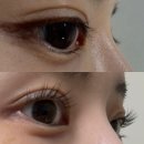 모라역 3번출구 엘리베이터 뒤 | 위례속눈썹펌 꼬미쁨뷰티 후기｜영양 추가로 유지력까지 만족