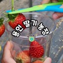 장촌농장 이미지