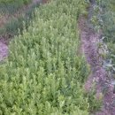 장동농장 이미지