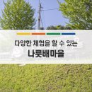 군남초북삼분교장 | 연천 다양한 체험 임진강 최북단 나룻배마을