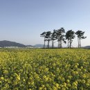 황산공원 축구장 경남신문