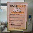 부산애견호텔 강아지유치원 펫퍼센트&코모네하우스 이미지