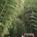 터미널식당(언양) 이미지