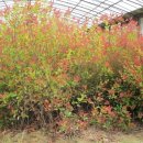 경수농장 이미지