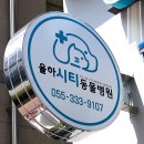 장유동물병원 | 김해 동물병원, 강아지 고양이 4년차 건강검진 후기(Feat.장유율하시티동물병원)