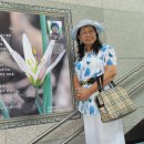 남춘천역 이미지