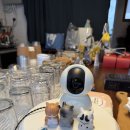 오롯이 | 쌍촌동 카페추천, 고양이가 반겨주는 오롯이 내돈내산 후기